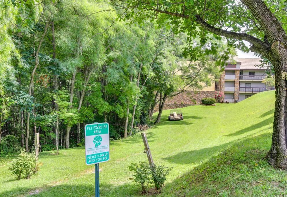 Villa Lux Retro Getaway W/ Ober & Smoky Mtn Views! à Gatlinburg Extérieur photo